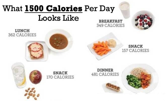 How Many Calories Should I Eat A Day To Lose Weight? - Kitch Me Now