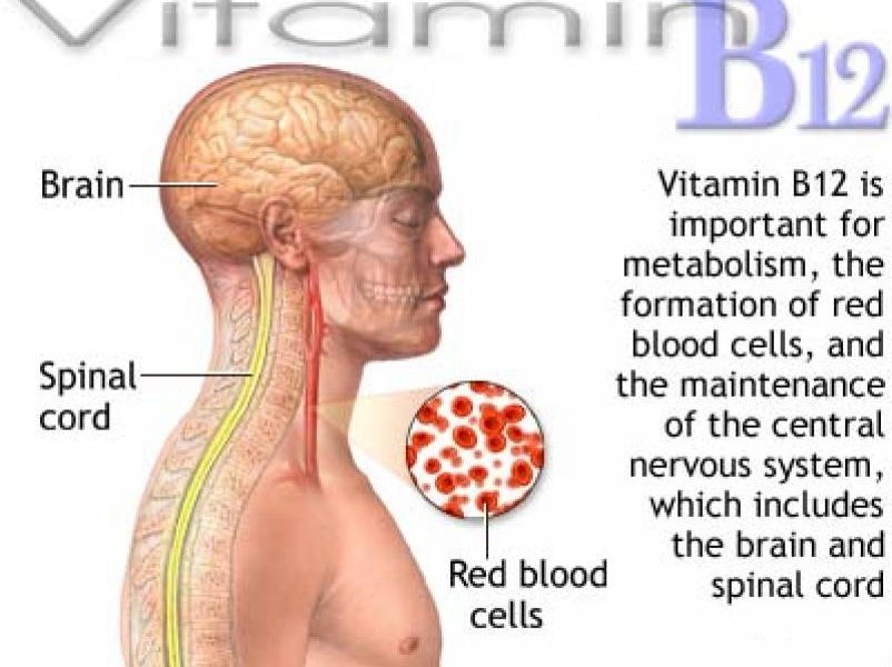 Vitamin B12 Deficiency These Are The Symptoms And Here Is How To Treat It